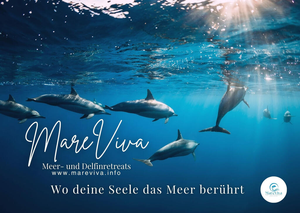MareViva-Flyer: Vorderseite MareViva-Flyer: Vorderseite